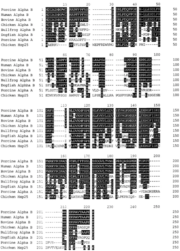 FIG. 3. Multiple sequence alignment and sequence comparison of seven a -crystallin subunits and chicken heat-shock protein (hsp25).