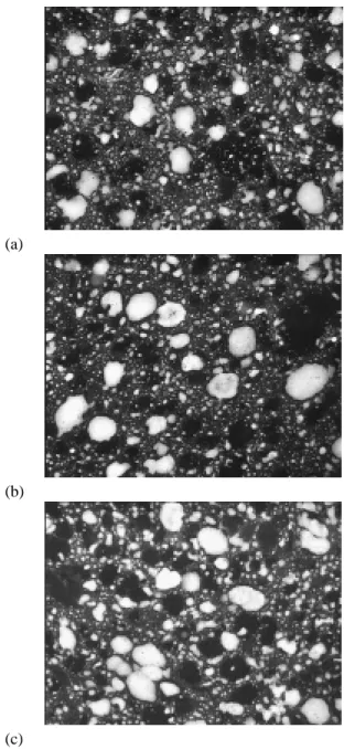 Figure 1 shows examples of images taken from the sausages. The pictures give a qualitative impression of 