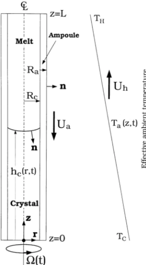 Fig. 1. Schematic sketch of vertical Bridgman (VB) crystal growth.
