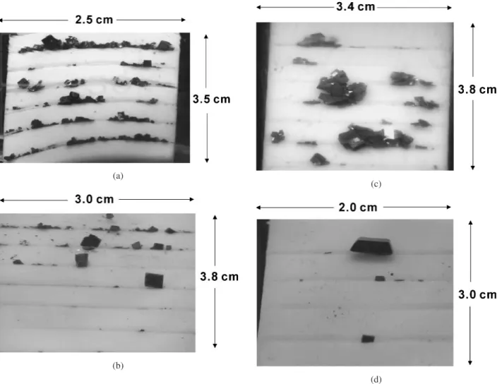 Fig. 5. (a) DAST crystals grown by slope nucleation method from the pure DAST solution prepared at 35  C saturation temperature
