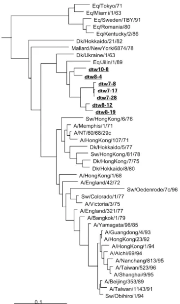 Fig. 1. Phylogenetic tree of H3 (450 bp).