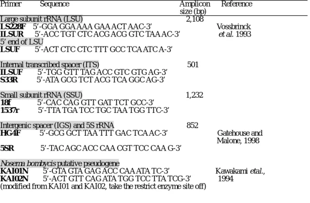 Fig. 3  The confirmation of Nosema bombycis rRNA organization. (A) Total length of rRNA was  amplified with primer set, the amplicon (4,401 BP) containing all the rRNA sequence was yielded with a  primer set, LSUF and 5SR