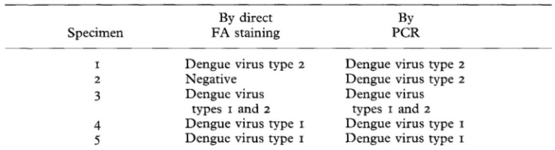 Table  II  Detection and typing of dengue viruses by direct fluorescent antibody  (FA) staining and by  the polymerase chain reaction (PCR) 