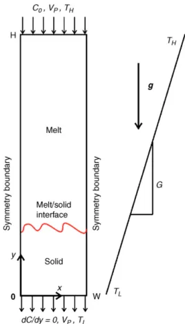 Fig. 1. Schematic of the computational domain for directional solidiﬁca- solidiﬁca-tion under gravity.