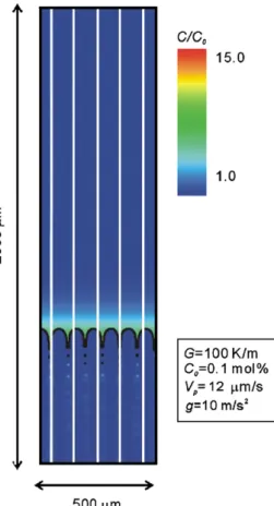 Fig. 6. Calculated ﬂow and solute ﬁelds, as well as the interface shape, for V p ¼ 12 mm/s (bV c ).