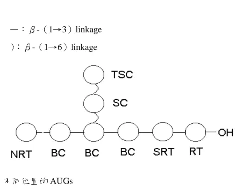 Fig. 2. AUGs at different locations. 
