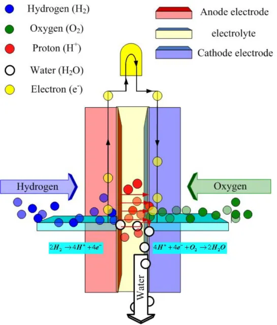 Fig. 1-1 Basic anode-electrolyte-cathode structure of a fuel cell 