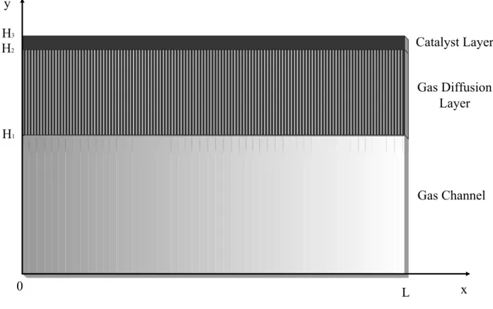 Fig. 2-1 Schematic of a cathode PEM fuel cell in simulation 