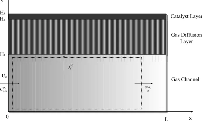 Fig. 2-2 Schematic of a cathode PEM fuel cell for flux balance 