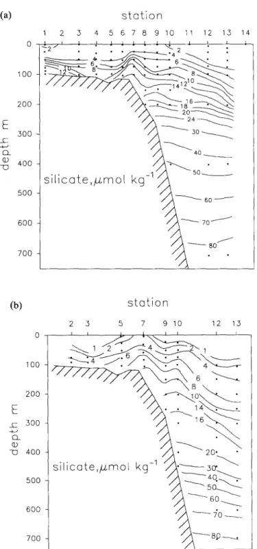 Fig.  8.  Cross-section  of silicate in (a) September  1988 and in (b)  December  1989