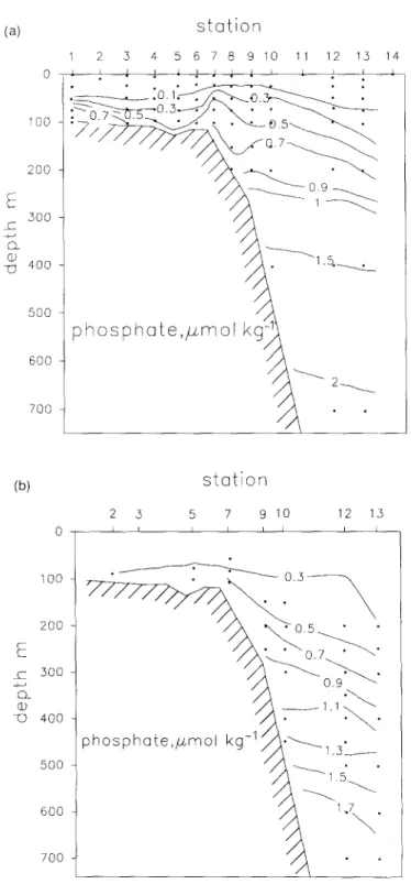 Fig.  7.  Cross-section  of phosphate  in (a)  September  1988 and in  (b)  December  1989