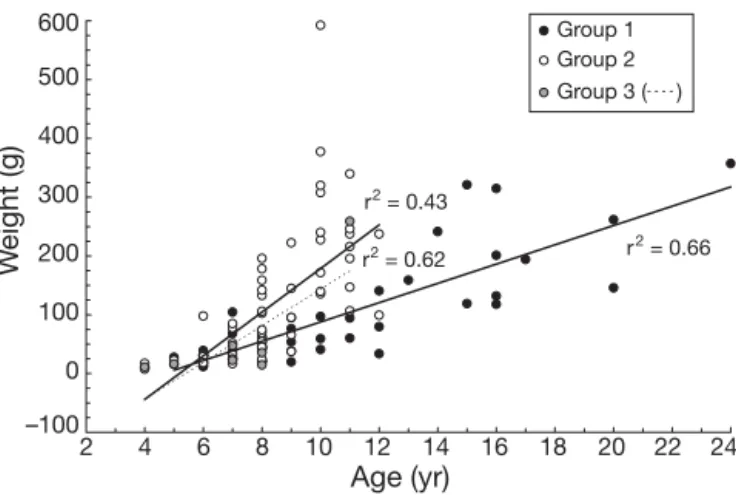 Fig. 3. Anguilla rostrata. Relationship between body length and age for yellow female eels from 2 groups of migratory pattern