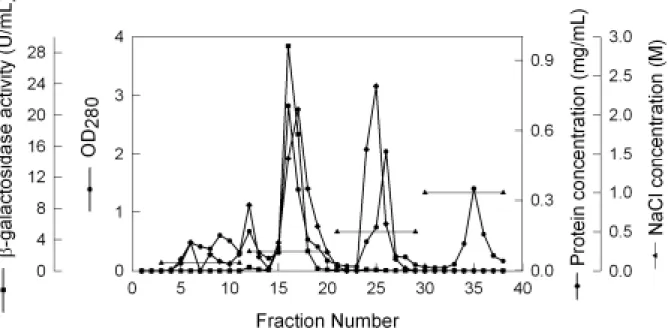 Figure 3. The elution profile of Q fast flow chromatography of β-galactosidase from B