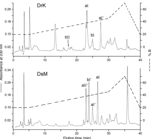 Fig. 2. Purification of PLAs by reversed-phase HPLC. Solubilized crude venoms of DrK and DsM in solvent A were fractionated on a C 18 -Vydac HPLC column