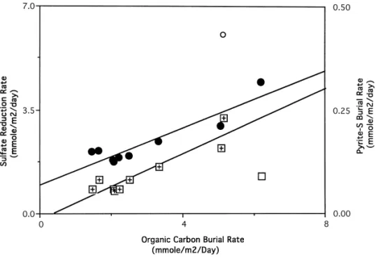 Fig. 7. Sulfate reduction rate (circles) and pyrite sulfur burial rate (squares) increased linearly with increasing organic carbon burial rate in the East China Sea continental shelf sediments