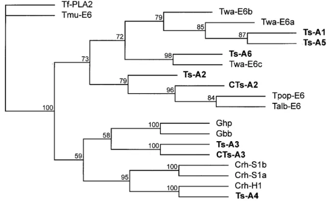 Figure 6 Phylogenetic relationships of the acidic PLA 2 s from venoms of T. stejnegeri and selected Asian pit vipers