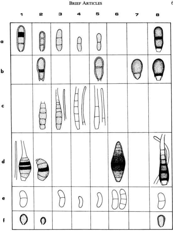 FIG.  3.  Synoptic table of conidial forms (A-F) in eight species of Triadelphia:  1. T