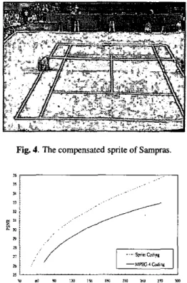 Fig.  4.  The compensated sprite of Sampras. 