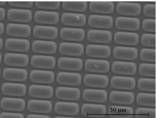 Fig. 5. The angular-dependent luminance of the OLED panel attached with and without cylindrical microlenses