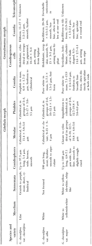 TABLE I.  Comparison  of  three  varieties  of  Gibellula  clavulifera  with  penicillate  conidiophoresa 
