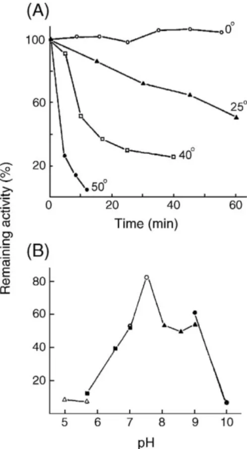 Fig. 5. Effects of metal chlorides on the enzymatic activity of P. monodon TGH.