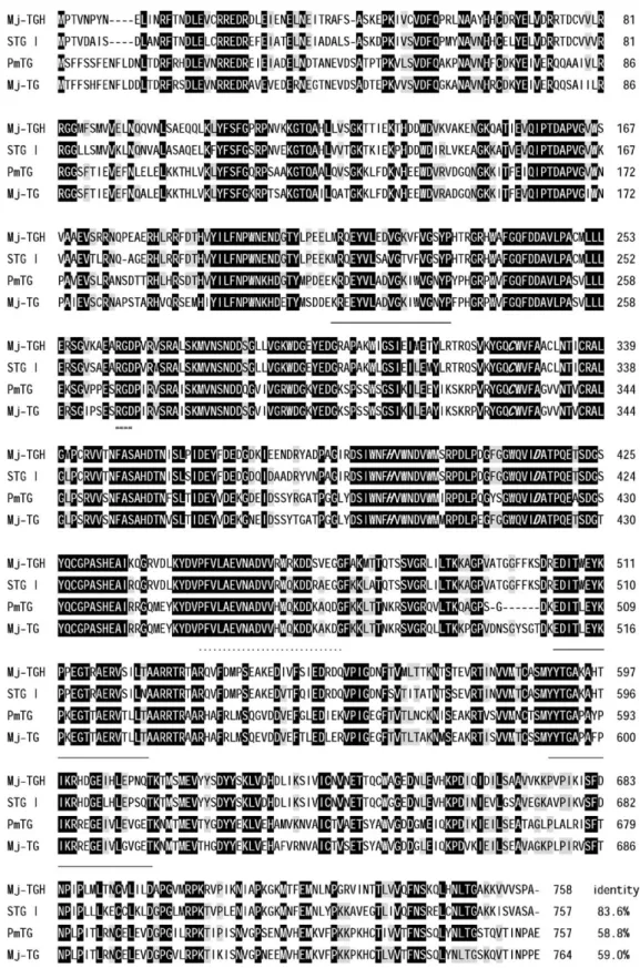 Fig. 8. Amino acid sequence alignment of transglutaminase variants of tiger shrimp and kuruma prawn