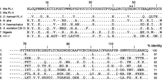 Fig. 4. Multiple alignment of amino acid sequences of 3FTxs and Kunitz inhibitors. (A) Wa-III, Wa-IV, Wa-V and related 3FTxs
