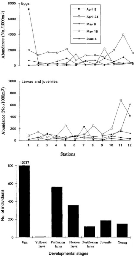Fig. 4.  Temporal  and  spatial  variations in abundance  of fish eggs and larvae  collected in  the  nearshore  wa-  ters  of the  Tanshui  River on 8 and  24 April,  6 and  18 May,  and  4 June  1991 