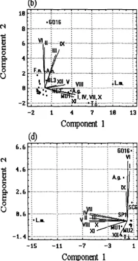 Fig.  6.  Principle  coordinate  analysis  for  the  ordina-  tion  o f  the  12  stations  ( I - X I I )   in  response  to  spe-  cies  density,  surveyed  on:  (a)  8  April;  (b)  24  April; 