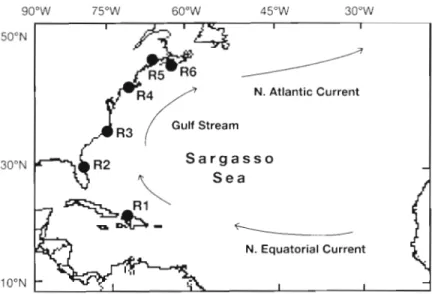 Table  1.  Sampling  sites  (shown  in  Fig.  1) and  dates  and  small. The elvers were collected with a dip net during  sample sizes of  Anguilla  rostrata  elvers 