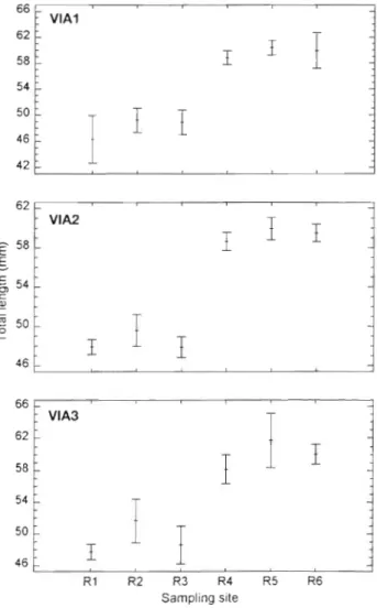 Fig. 4. Anglulla  rostrata. Mean  (*  95&#34;..  confidence intervals)  total length  by  pigmentation stage (VIA1, VIA2 and VIA3) of  elvers collected from  6  estuaries  in  Haiti and North  America 