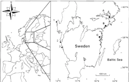 Fig.  1.  Map showing the locations where eels  were  collected  from  brackish  waters  along  the western coast of  Sweden (1,  Stromstad; 2,  Bjorko)  and  3  lakes  on  the  eastern  coast  (A, Lake Malaren;  B