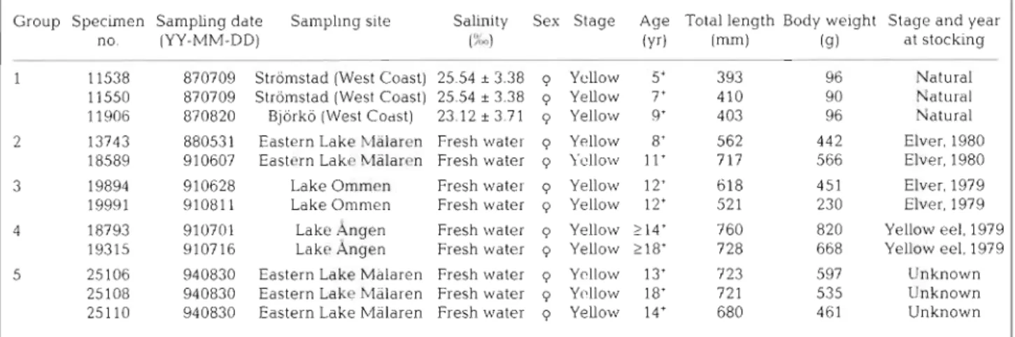 Table  1.  L ~ f e   history  of  the  5  groups of  European eels used in thls study 