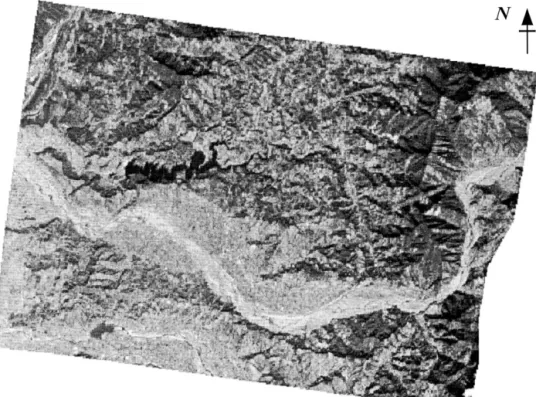 Figure 7. Kriging rectified image.
