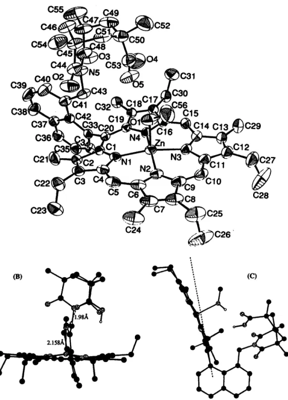 Figure 4.  (a) X-ray crystal structure of ZnNKAP-MeOH.  (b)  Side view  of  the X-ray structure of ZnNKAP-  MeOH