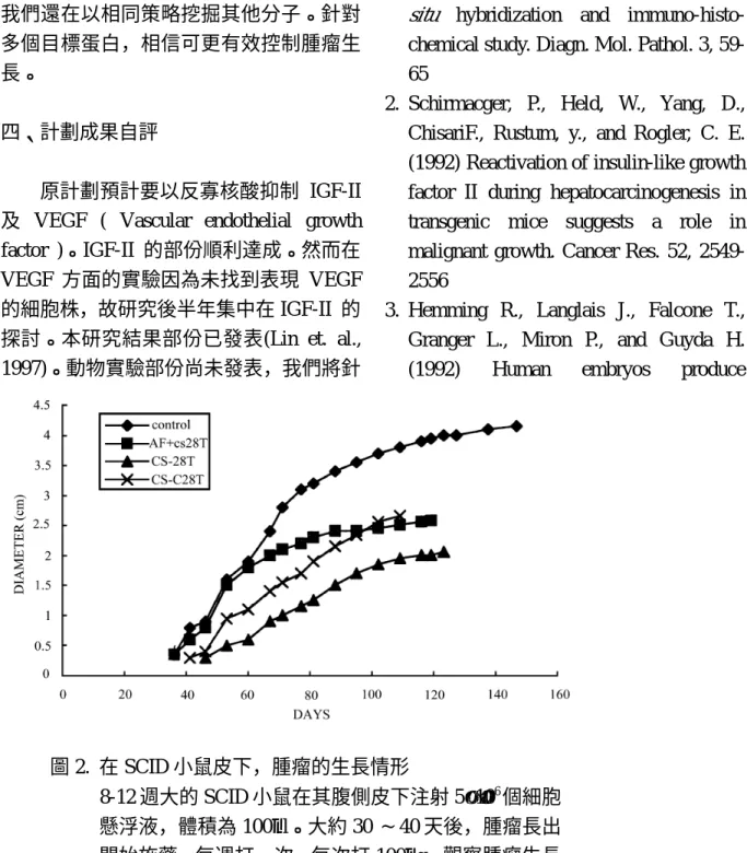 圖 2.  在 SCID 小鼠皮下，腫瘤的生長情形