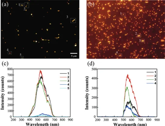 Figure 5. DFM images of (a) Ag and (b) Au nanomaterials prepared on MPTMS-AgNPS-treated glass substrates