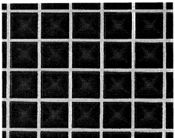 Figure  3:  An  optical  photo  showing  a  portion  of  silicon  mold insert. 