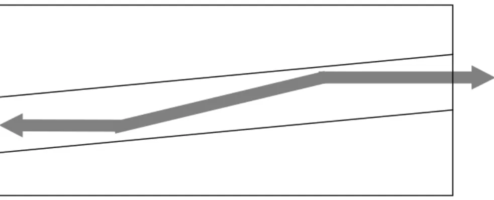 Figure 11: Possible optical-path in the angled waveguide .
