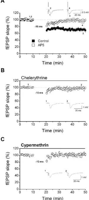 Fig . 3. Cellular mechanisms underlying induction of long-term depression (LTD). (A) Induction of LTD by paired antidromic ﬁeld somatic spike–ﬁeld excitatory postsynaptic potential (fEPSP) stimulation with Dt ¼ )10 ms (n LTD ¼ 71 ± 4%, n ¼ 7; P < 0.01, 