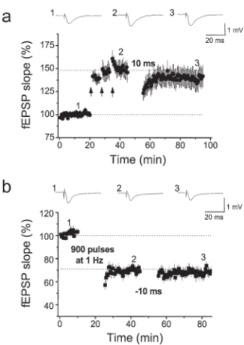 Fig. 6. Induction of STDP is occluded by saturated homosynaptic LTP/LTD. a Homosynaptic  LTP induced by three trains of 100 pulses at 100 Hz (intertrain interval 30 s), repeated three times  at intervals of 5 min (arrows); following this homosynaptic LTP, 