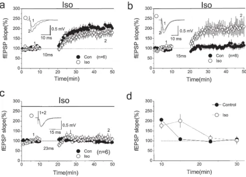 Fig. 7. Enhancement of STDP by activation of  β-adrenergic receptors. a Application of 1 µM isoproterenol (Iso) has no signiﬁ cant effect on the magnitude of LTP induced using the pairing  protocol with a 10-ms interval