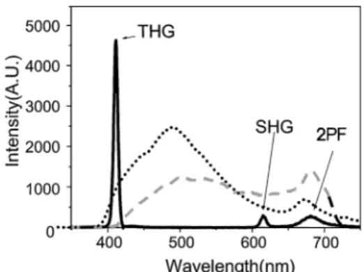 Figure 1 shows the emission spectra from the cell wall of the ground tissue in Zea mays stem with a 0.45-mW, 365-nm UV light (dotted curve), 50-mW, 780-nm Ti:sapphire laser (120-fs pulse width; dashed curve); and a 150-mW, 1230-nm Cr:forsterite laser (soli