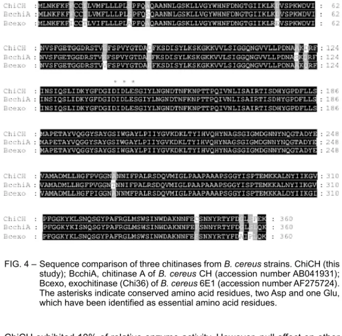 FIG. 4 – Sequence comparison of three chitinases from B. cereus strains. ChiCH (this study); BcchiA, chitinase A of B