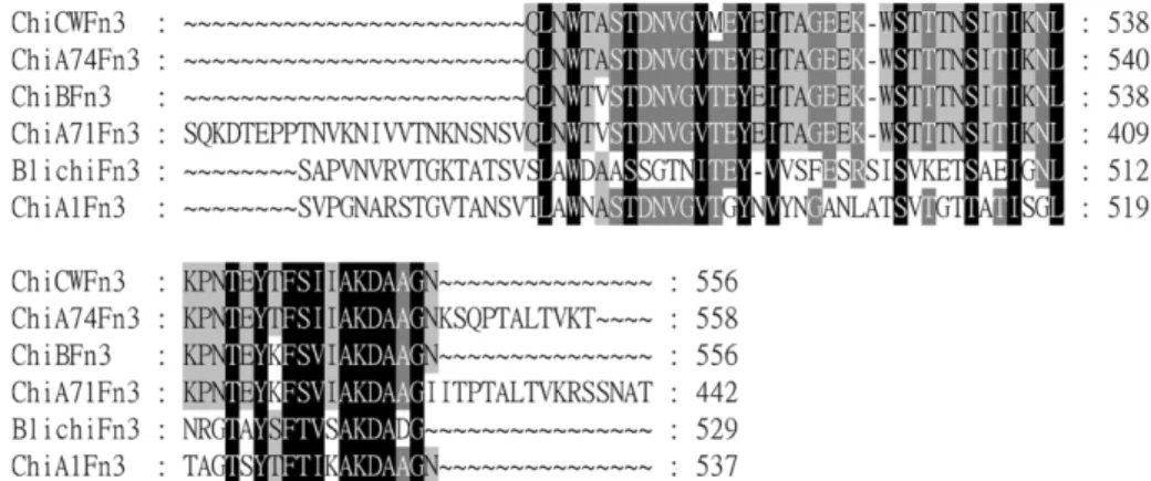 Fig. 5. Alignment of the peptide sequences of the Fibronectin type-III like domains of chitinases from different Bacillus spp.