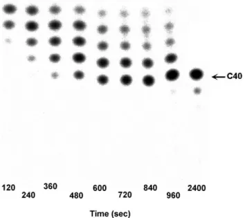 Fig. 2. (A) T. maritima OPPs activity measured at different temperature.
