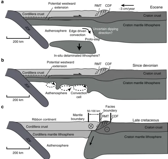 Fig. 5 Three mechanisms for the formation of the Cordillera –craton boundary. In the accretionary hypothesis, the Cordillera–craton boundary formed as a destructive boundary through either a lithosphere delamination 23 or b viscous thermal erosion