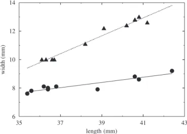 Fig. 9. The relation between the maximum width and span length of the forewings (K) and the hindwings (m).