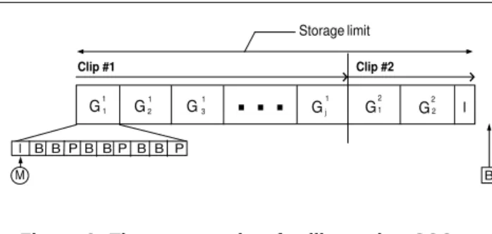 Figure 3. The storage view to illustrate SCO - Case II