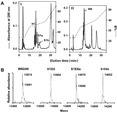 Fig. 2. Purification and ESI-MS analyses of venom PLA 2 s. (A) Fractions I and II (Fig